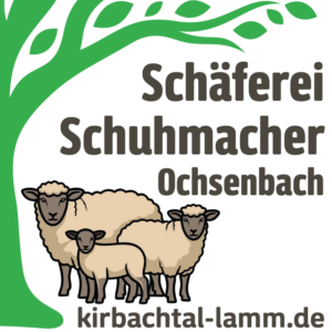 Lammragout